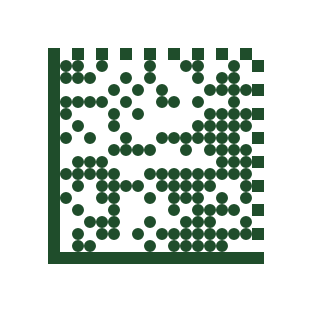 Data Matrix als Punkte