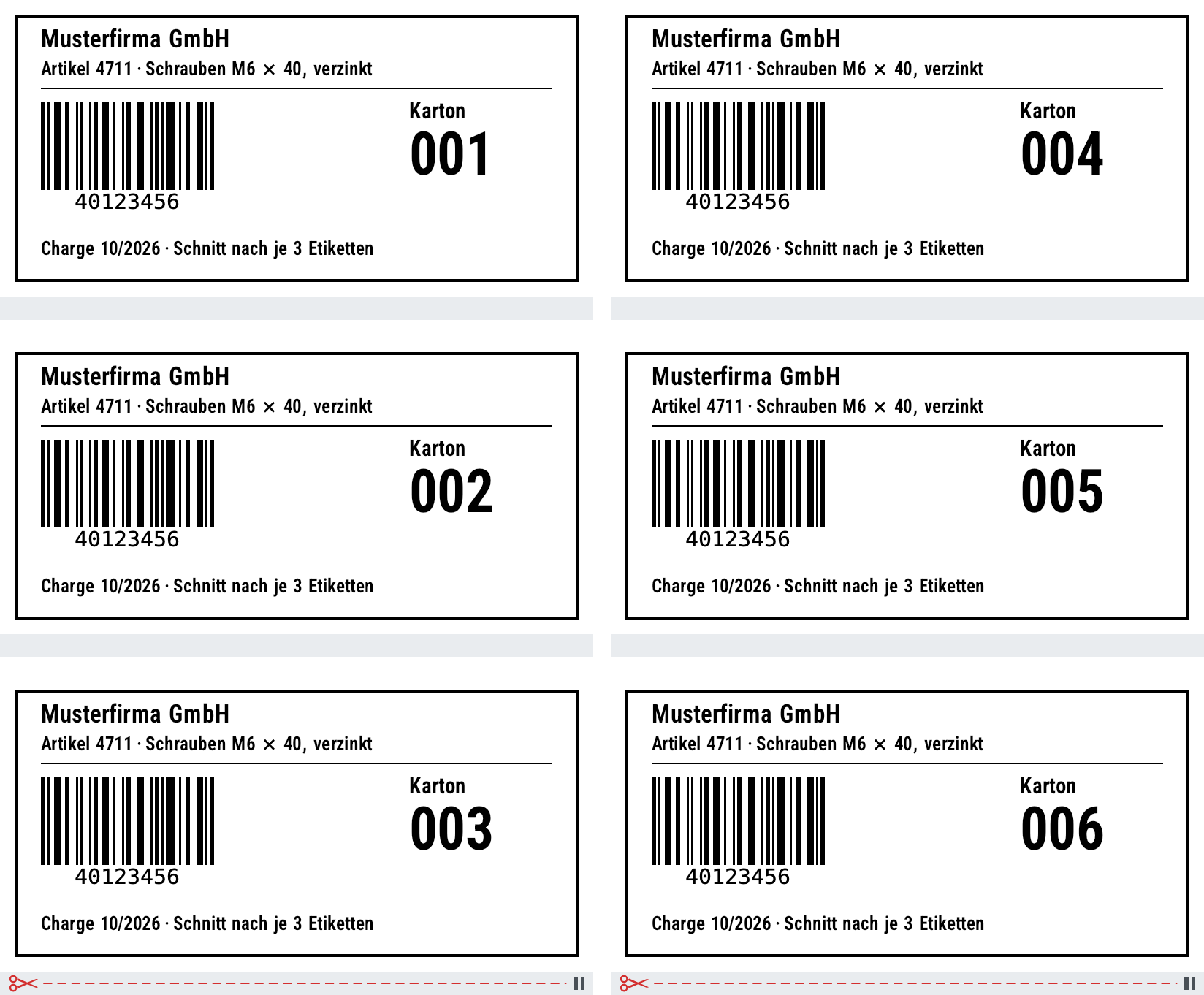 Six carton labels in two columns; below labels 3 and 6 a red dashed cut line with scissors and a pause symbol