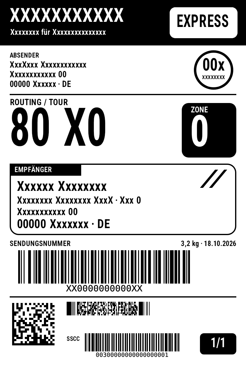 Dasselbe Etikett: Namen, Adressen, Sendungsnummer und Barcode-Inhalte durch Platzhalter ersetzt, Layout unverändert