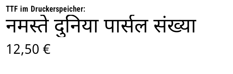 Hindi-Etikett – gerendert mit zplCore.com
